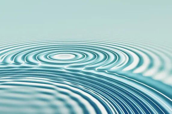 Cazino All In Cazinou Suport